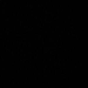 Meet your Posher, Chaya